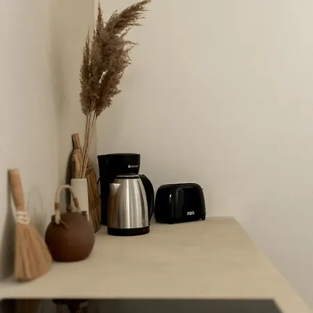 Appartamento Bel Renove Centre Et Proche Gare-plages A 20 Minutes-wifi