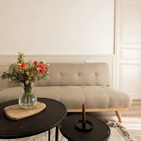 Bel Renove Centre Et Proche Gare-plages A 20 Minutes-wifi Appartement Béziers